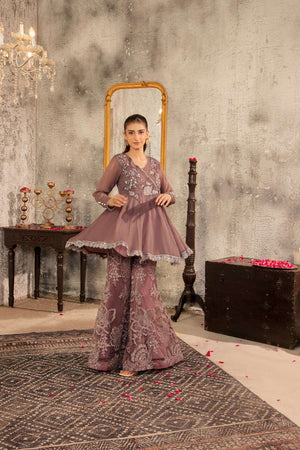 NF-6531 Grey Chiffon / Net Stitched 2Pcs Suit
