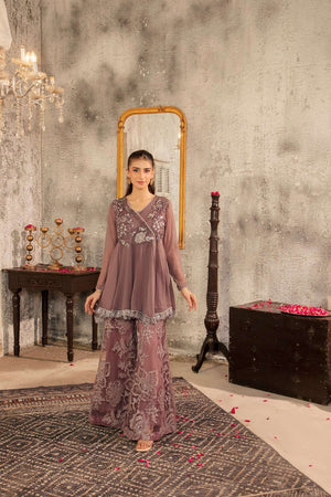 NF-6531 Grey Chiffon / Net Stitched 2Pcs Suit