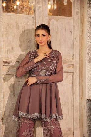 NF-6531 Grey Chiffon / Net Stitched 2Pcs Suit