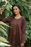 NF-6612 Brown Silk 2Pcs Stitched Suit