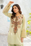 NF-6727 Pistachio Light Lawn Stitched 2PC
