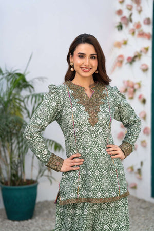 NF-6807 Green White Printed Stitched 2Pc