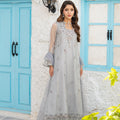 NF-6828 Silver Zari Jali Dress