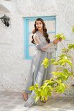 NF-6828 Silver Zari Jali Dress