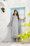 NF-6828 Silver Zari Jali Dress