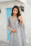 NF-6828 Silver Zari Jali Dress