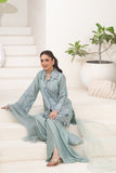 NF-6840 Ferozi RawSilk Chamki 2PC