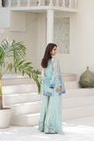 NF-06460 Ferozi Organza Sitiched 3Pc Suit