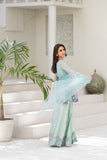 NF-06460 Ferozi Organza Sitiched 3Pc Suit