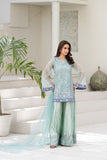 NF-06460 Ferozi Organza Sitiched 3Pc Suit