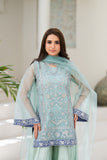 NF-06460 Ferozi Organza Sitiched 3Pc Suit