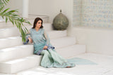 NF-06460 Ferozi Organza Sitiched 3Pc Suit