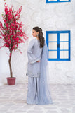 NF-6822 Silver grey Rawsilk Sitiched 2pc