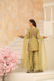 NF-6717 Pistachio Jaquard 2pc Stitched Dress