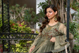 NF-5968 Dark Pista Stitched Frock