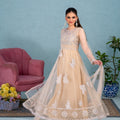 NF-6500 Beige Net Stitched Frock
