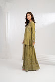 NF-6671 Pista Rawsilk Stitched 2PC
