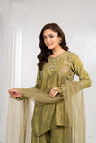 NF-6671 Pista Rawsilk Stitched 2PC