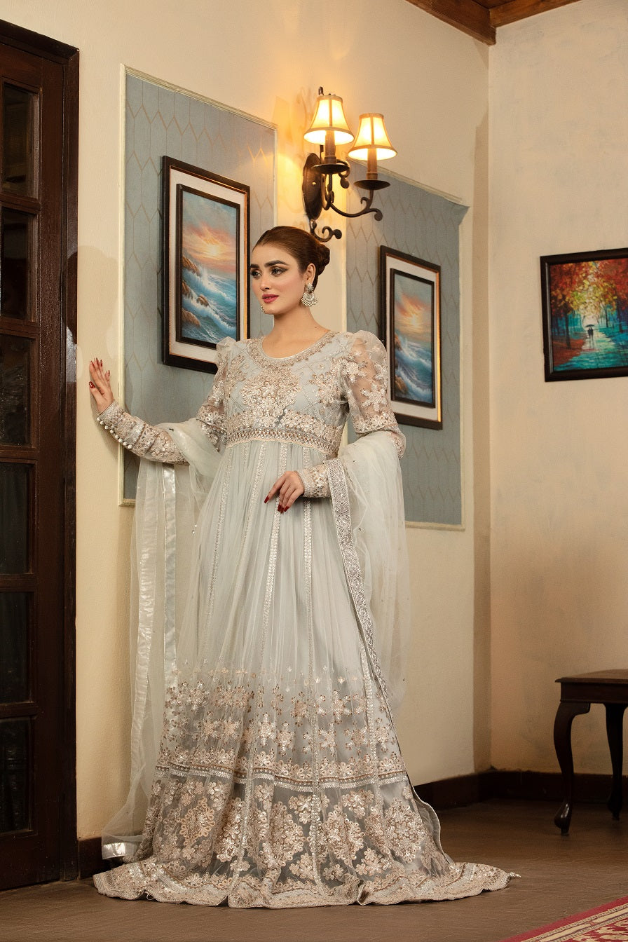 NB-001 Silver Long 3pc Stitched Dress Nakoosh Shop