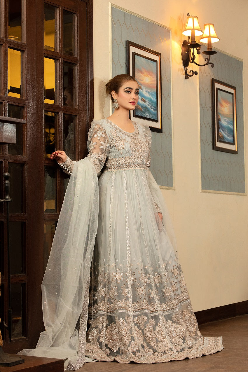 NB-001 Silver Long 3pc Stitched Dress Nakoosh Shop