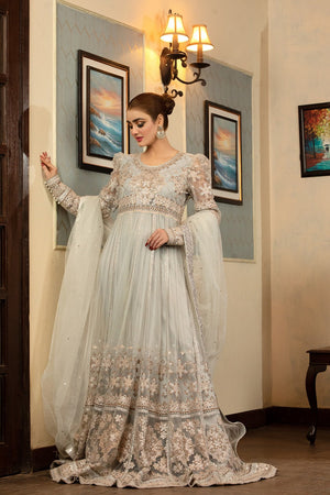 NB-001 Silver Long 3pc Stitched Dress Nakoosh Shop