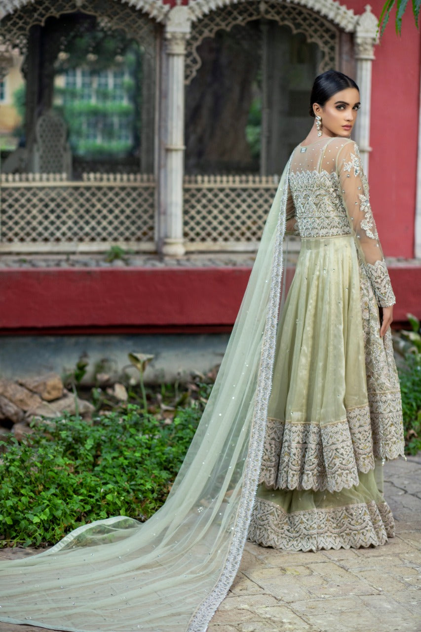 NB-2983 Mint Anarkali 3Pc With Heavy Dupatta Nakoosh Shop