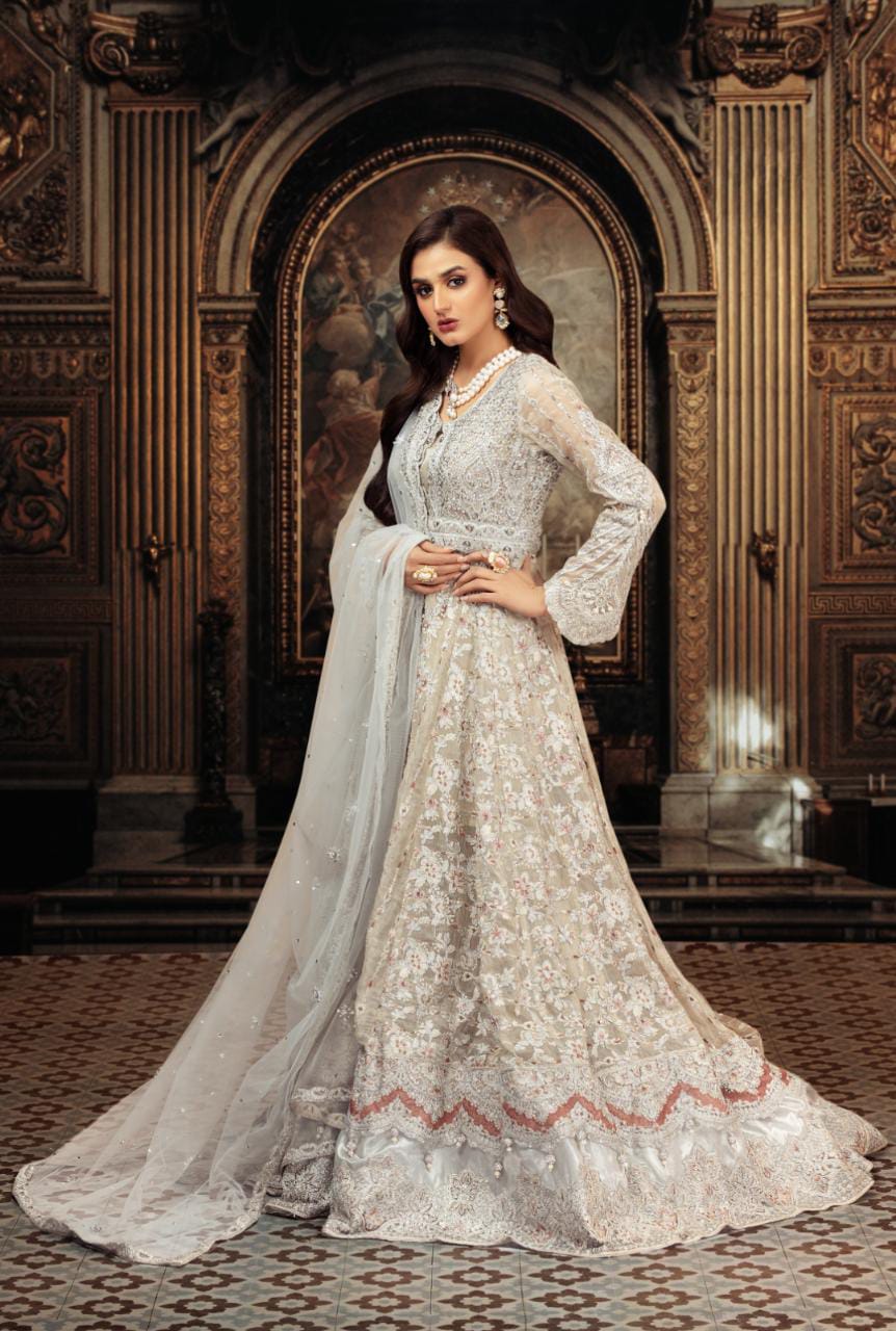 NB-3678 Silver Long Formal Dress Stitched Nakoosh Shop
