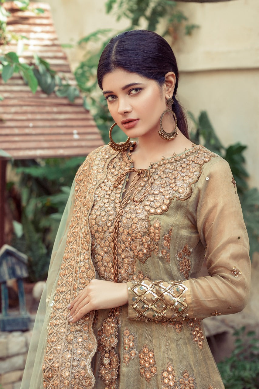 NB-4137 Pista Sheesha Stitched 3Pc With 
Heavy Dupatta Nakoosh Shop