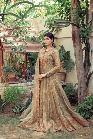 NB-4137 Pista Sheesha Stitched 3Pc With 
Heavy Dupatta Nakoosh Shop