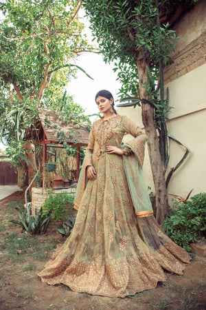 NB-4137 Pista Sheesha Stitched 3Pc With 
Heavy Dupatta Nakoosh Shop