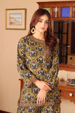 NF-6028 Antique Printed Ghararah 2 Suit