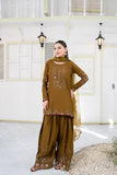 NF-6824 Mehndi Farshishalwar Suit