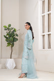 NF-6839 Ferozi Silk 2pc Dress