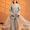NF-6761 Grey Raw Silk Stitched 2PC Suit