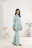 NF-5829 Ferozi Cotton Stitched 2Pc Suit