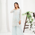 NF-6738 Ferozi Cotton Net 2Pc Stitched Dress