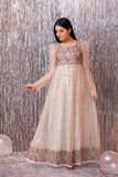 NF-4449 Ivory Net Stitched Frock